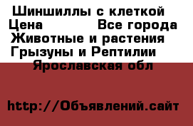 Шиншиллы с клеткой › Цена ­ 8 000 - Все города Животные и растения » Грызуны и Рептилии   . Ярославская обл.